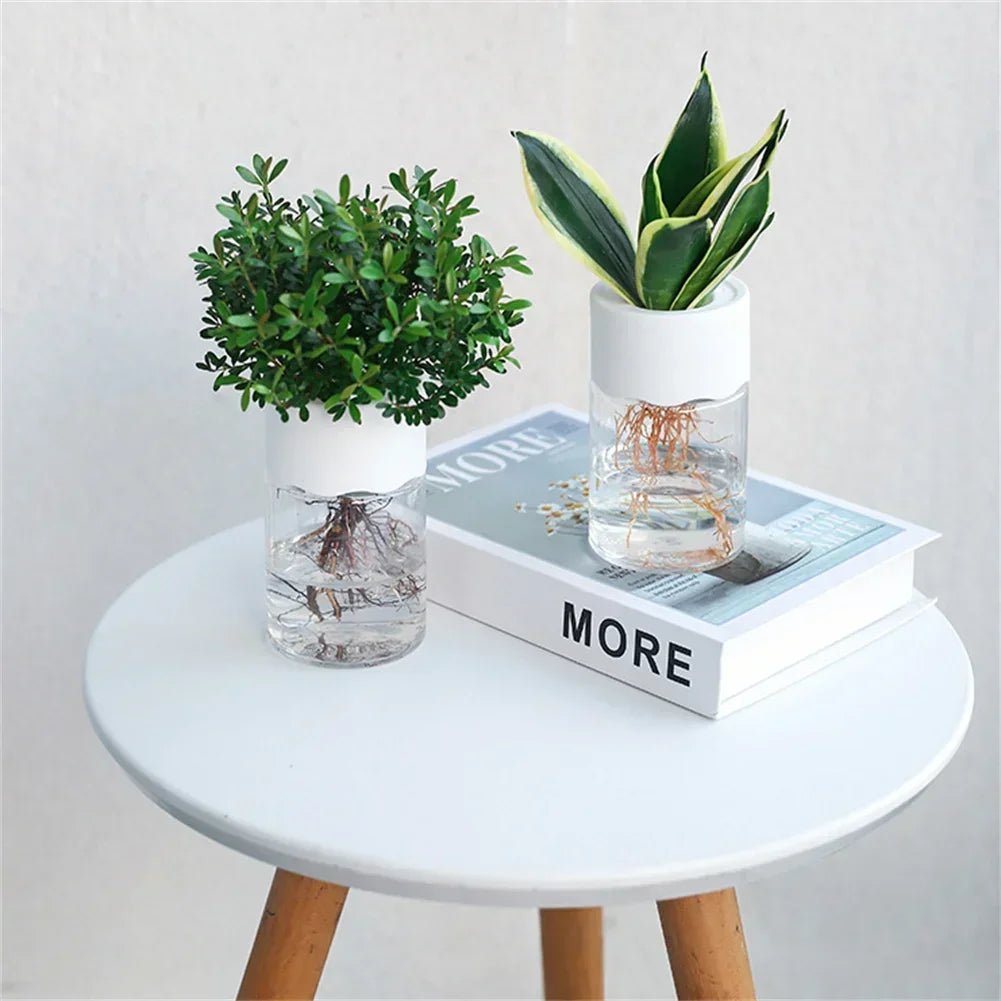 Mini Hydroponic Glass Plant Vase