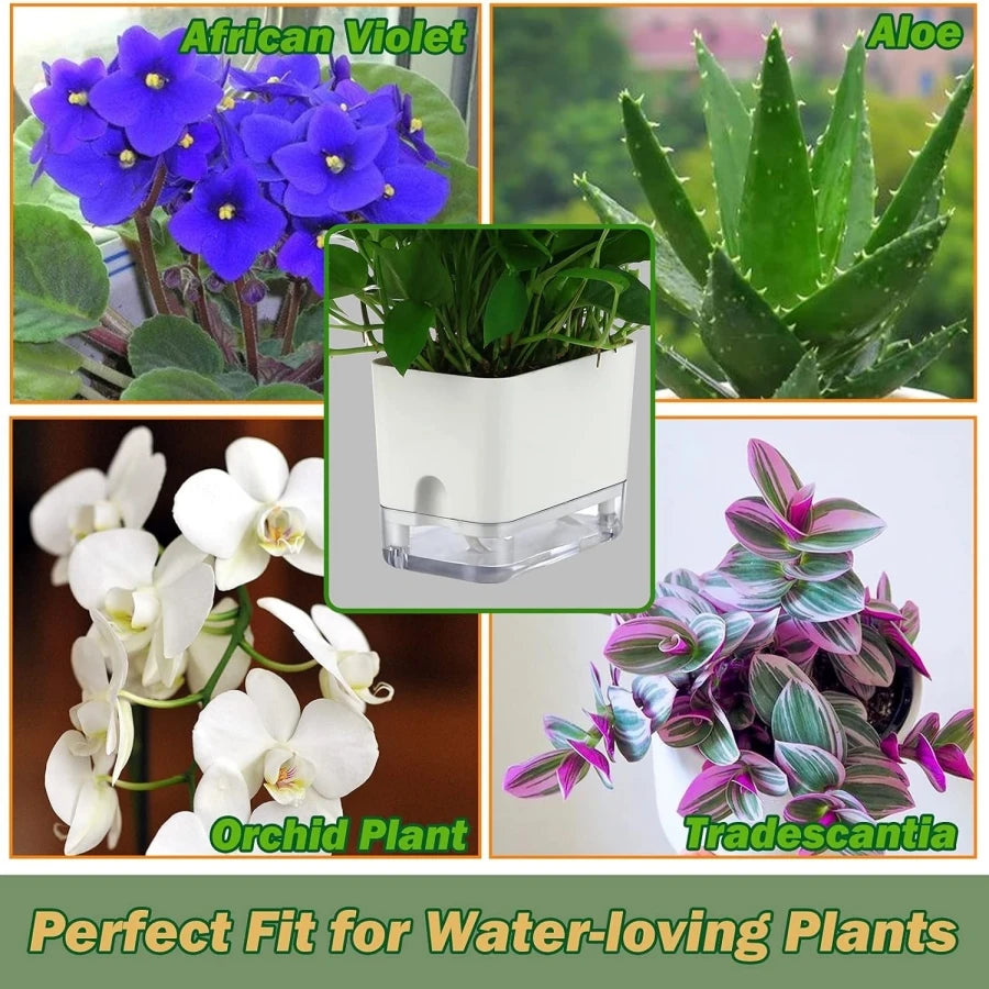 Self-Watering Indoor Planters (Set of 2)
