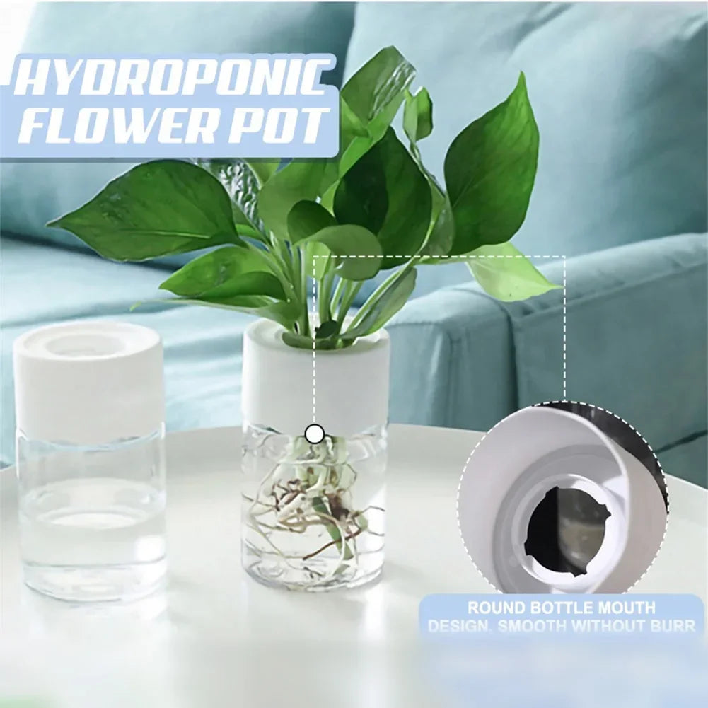 Mini Hydroponic Glass Plant Vase