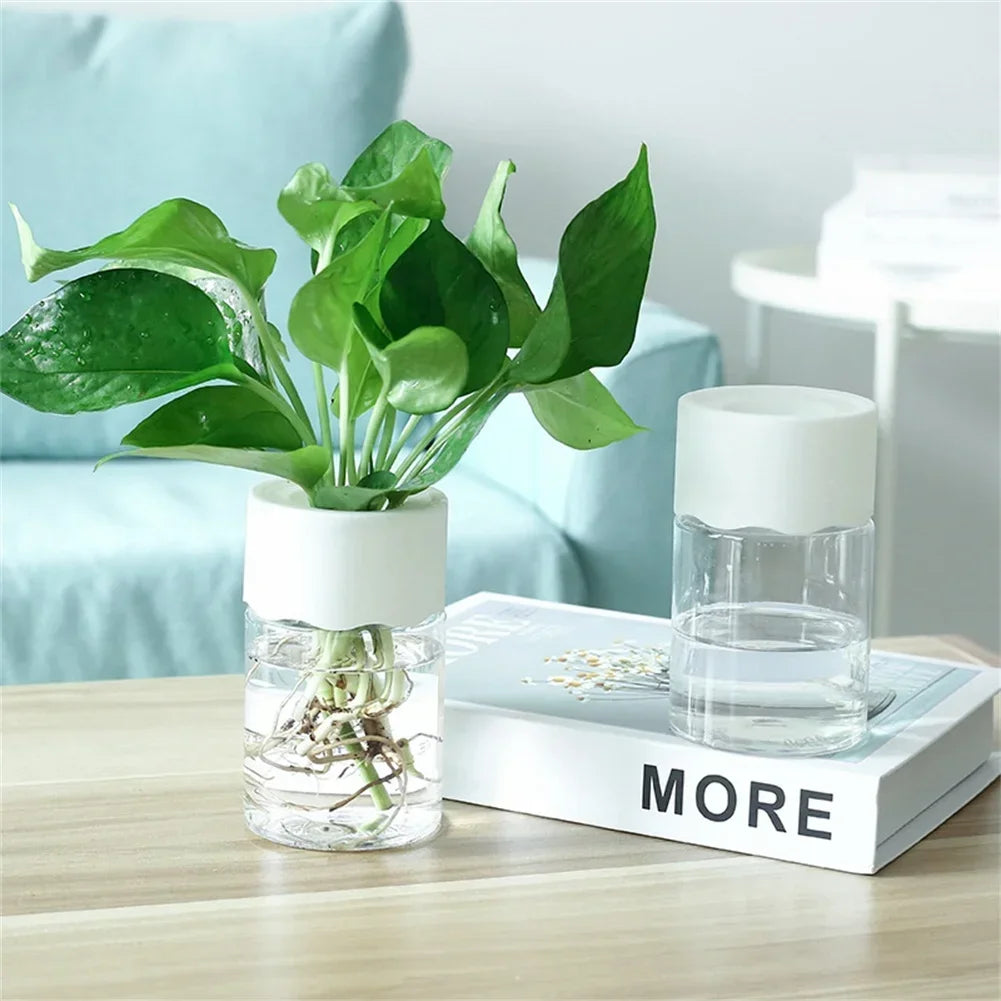 Mini Hydroponic Glass Plant Vase