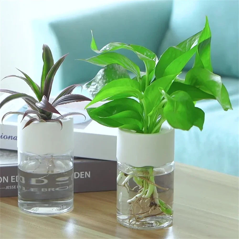Mini Hydroponic Glass Plant Vase