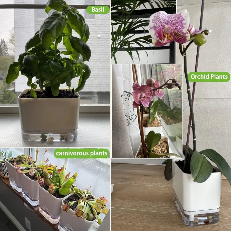 Self-Watering Indoor Planters (Set of 2)