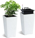 Large Rectangular Planters with Water Monitor (Set of 2)