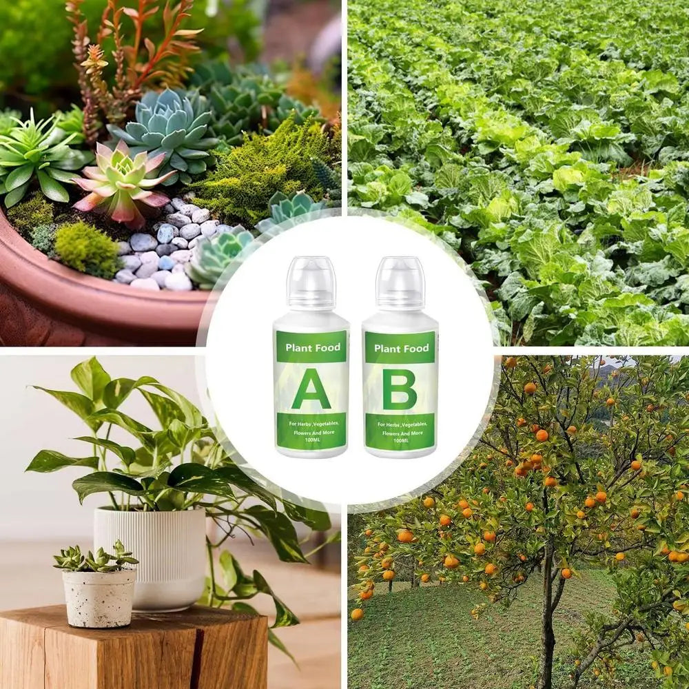 Hydroponic Nutrient Solution Kit