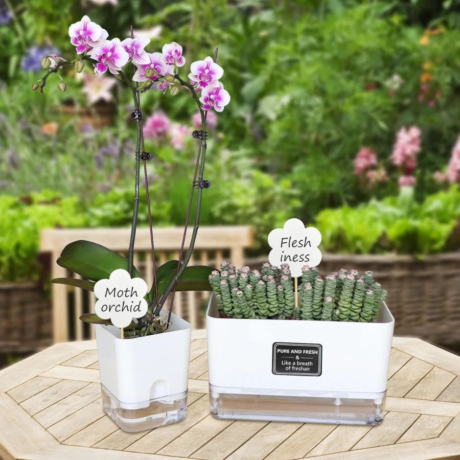 Self-Watering Indoor Planters (Set of 2)
