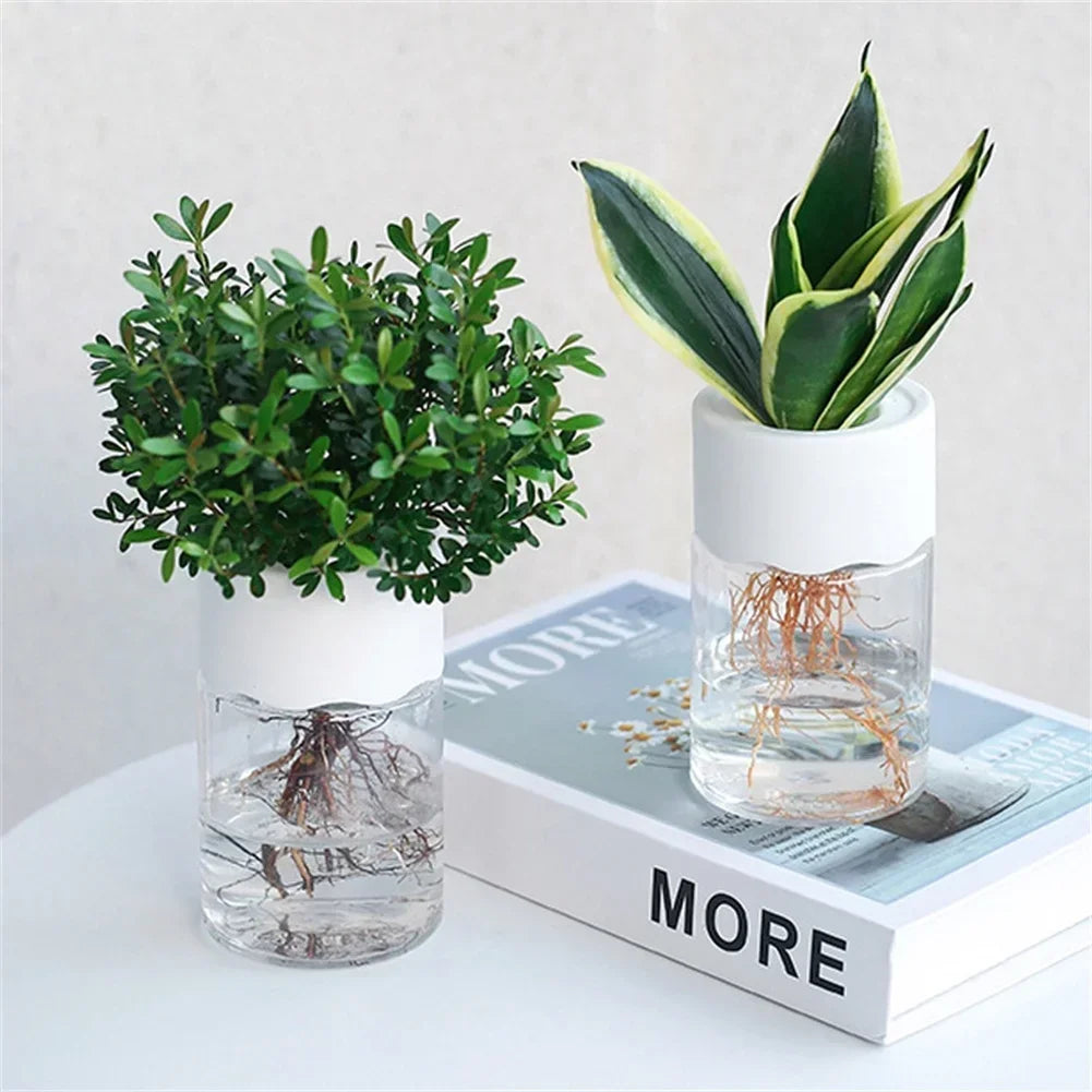Mini Hydroponic Glass Plant Vase
