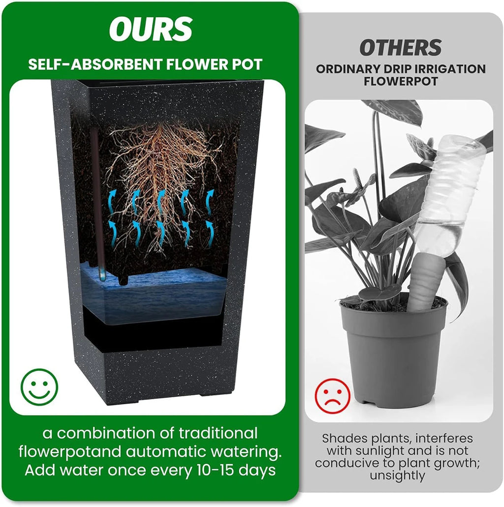 Large Rectangular Planters with Water Monitor (Set of 2)
