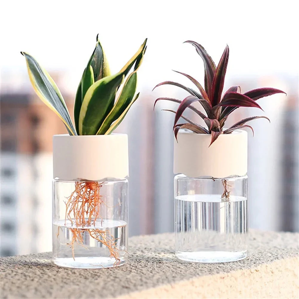 Mini Hydroponic Glass Plant Vase